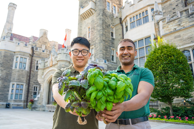 With new installations at Casa Loma and U of T Scarborough, Lyrata offers fresh solutions for sustainable urban farming